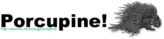 Porcupine logo