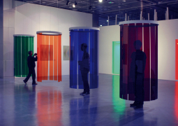 克魯茲–迭斯•卡洛斯： 《色彩的環境和模糊性》 中國鄭州河南省美術館 2012年 (照片提供: 克魯茲–迭斯基金會)