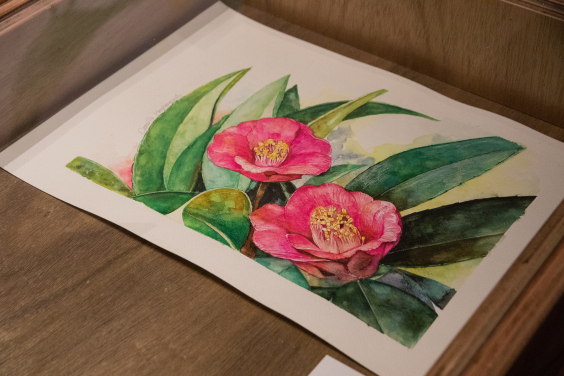 Highlighted Exhibits

Watercolour  painting   of  Hong  Kong  Camellia (2021)
By Human Ip
On loan from Human Ip