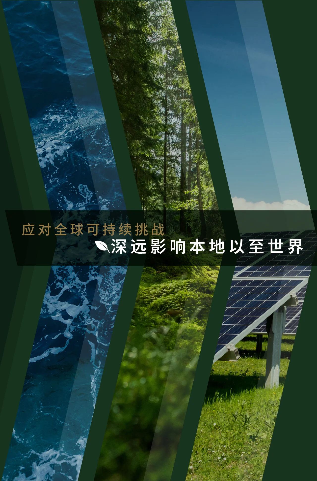 覆盖海洋、森林和太阳能板图像的宣传图片，附文字：应对全球可持续发展挑战，在本地和全球创造影响力。