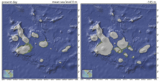 圖1：現時的加拉帕戈斯群島（左）及海水位降低145米後的群島（右）。當海水水位降至這個水平時，多個西部及中部島嶼會合而為一，只能在陸地活動的生物因此可以來往大陸每個角落。