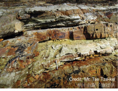Photo of Lai Chi Chong’s rock strata (Image courtesy of Mr. Tse Tze-kei)