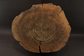 Ancient tree rings from the Pearl River Delta