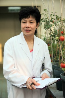 Professor Chye Mee Len and model plant Arabidopsis