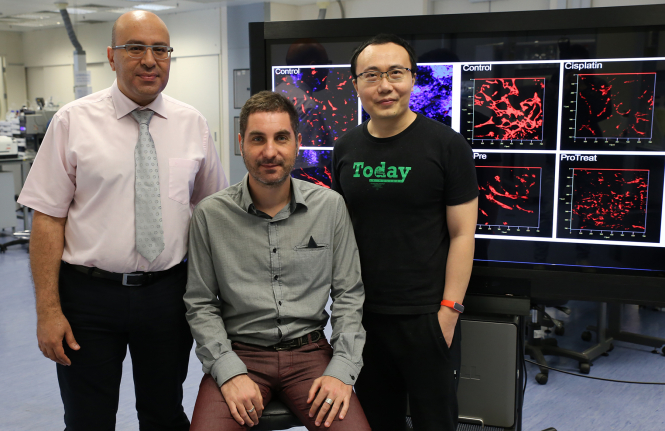 Research team members: (from left) Dr Hani El-Nezami, Dr Gianni Panagiotou and  Dr Li Jun