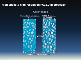 FACED colour image effect compared with conventional microscopy