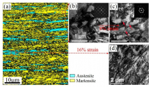 Figure 4	 (a) Electron backscatter diffraction (EBSD) phase image showing the lamella microstructure of layered austenite grains () embedded in tempered martensite (') matrix.  (b) The dislocation structures in martensite as enlarged in transmission electron microscopy (TEM) image.  (c) TEM image showing the elongation of dislocation cell structure after the 8% tensile strain.  (d) TEM image confirming the transformation of metastable austenite to martensite after 16% tensile strain. 