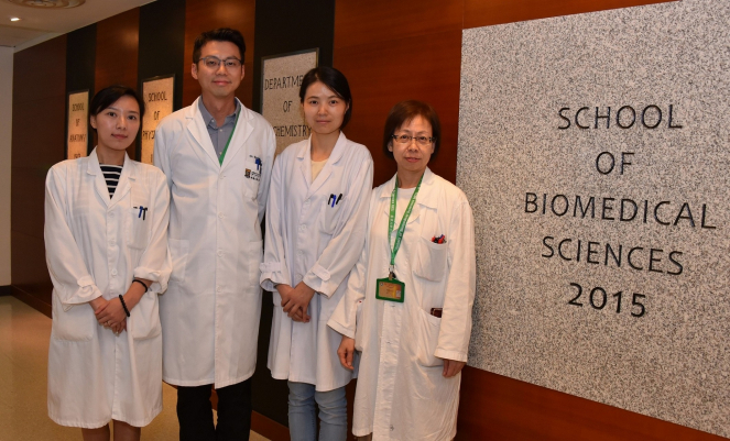 (From left) Dr Jessica Liu Aijia, Post-doctoral Fellow; Dr Martin Cheung Chi-hang, Assistant Professor; Ms Rao Yanxia, PhD student; and Ms May Cheung Pui-lai, Senior Technician, School of Biomedical Sciences, Li Ka Shing Faculty of Medicine, HKU.