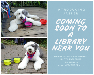 HKU Libraries Resident Therapy Dog Programme: A unique first for Hong Kong and higher education