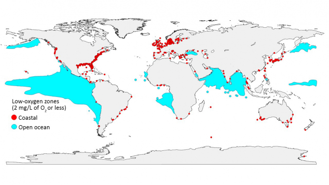 低氧區域遍布全球。紅點表示氧氣暴跌到每升只有2毫克或更少的海岸地區，藍色區域表示在公海中具有相同低氧水平的區域。（圖片由環球海洋氧網絡團隊提供。數據由World Ocean Atlas 2013 及R. J. Diaz提供。)