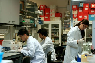 生物科學學院有關分子生物及生物科技的研究。