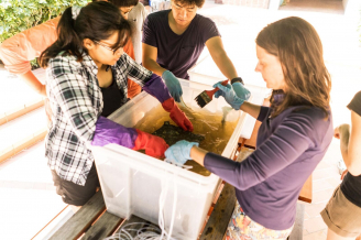 The ARMS were transported back to HKU and each plate was removed one at a time while making sure not to lose any organisms large or small.