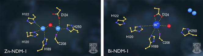 CBS inhibits the activities of major resistant determinant NDM-1 replacing its zinc particles with bismuth