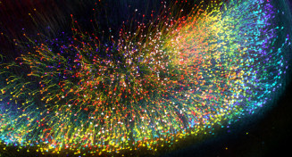 A transgenic mouse dentate gyrus imaged and colored-coded to reveal the distribution of the nerve cells. 