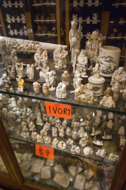 Processed elephant ivory on sale in a shop in Hong Kong, considered to be the global epicenter of wildlife trade
(Photo Credit: Alex Hofford/WildAid)