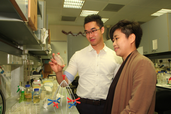 Dr Karen Wing Yee YUEN (right) and Dr Yick Hin LING (left) study the function of centromeric RNA in maintaining chromosome stability using baker’s yeast.