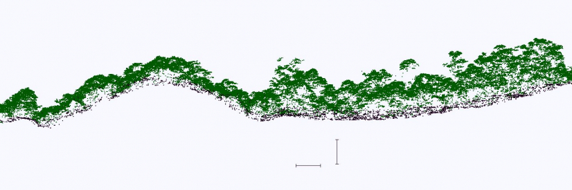 This plot shows lidar reflections from the surface (brown points) and the forest canopy (green points) in the Lion Rock area. The vertical and horizontal scale bars are 15 metres each.