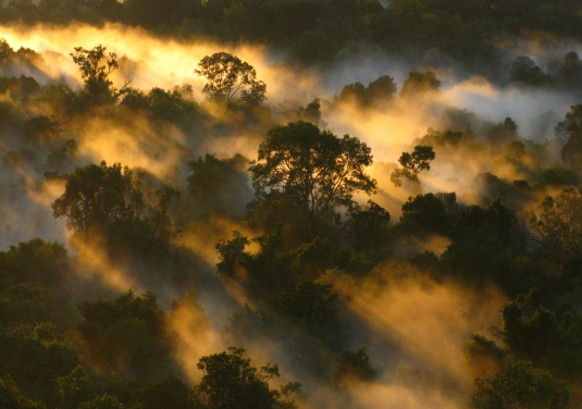 鳥瞰亞馬遜森林；相片來源： Peter Vander Sleen