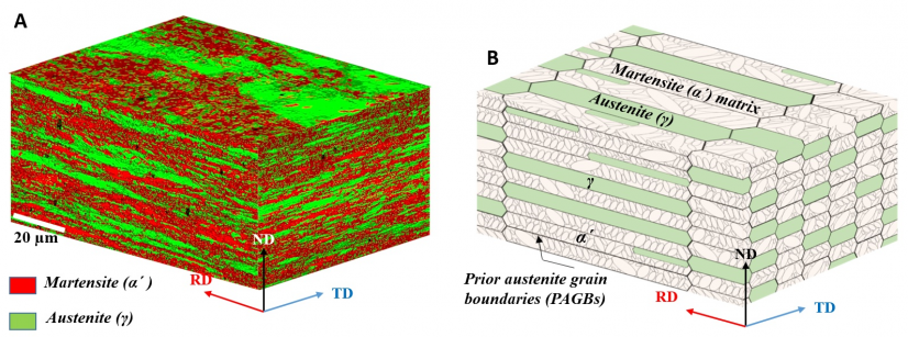 Figure 1. (A) The 3-D stereographic microstructure of the present D&P steel. (B) Schematic 3-D model illustrates the lamellar microstructure of the D&P steel.