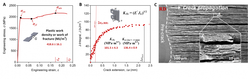 Figure 2. (A) Engineering stress-strain curve and (B) J-integral based crack resistance curve show that D&P steel has ultrahigh yield strength, superior toughness and good ductility. (C) The fracture surface of D&P steel, showing intensive delamination cracks. 