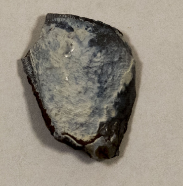 圖3：由「激光盜龍」無人機系統發現的兩厘米闊哺乳類牙齒化石。牙齒屬於一種居住在美國懷俄明州的雷獸，有三千五百萬年歷史。圖片提供：Thomas G Kaye和文嘉棋。