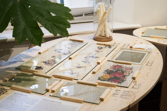 The exhibition Ecology In The Making - A History of Amateur Naturalists in Hong Kong is divided into five sections, featuring the stories of 12 individuals from 1816 to 1984.