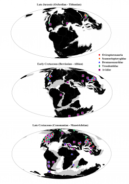 Figure 3. Pennaraptoran fossil localities through time. Pennaraptorans became globally widespread before the end of the Cretaceous and lived in a range of habitats including hot deserts and temperate forests. Image credit: Pittman et al. 2020.