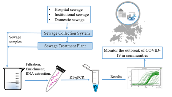 Sewage Surveillance Procedure of SARS-CoV-2