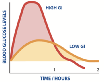 攝入高GI和低GI碳水化合物後血糖反應的示意圖。
 