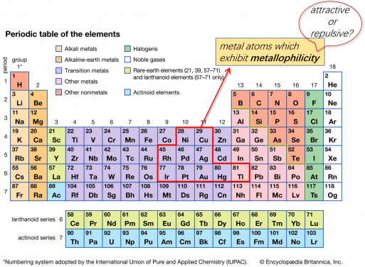 Periodic table showing elements which could exhibit metallophilicity