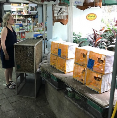 研究作者之一Hannah Tilley在旺角發現有鳴鳥出售。
圖片提供：Astrid Andersson