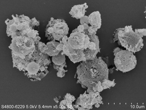 掃描電子顯微鏡放大5,000倍的他米巴羅汀可吸入式乾粉製劑。
 