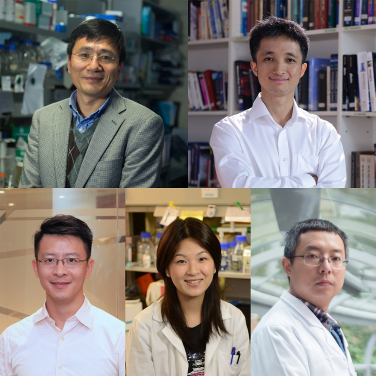 (upper) Senior Research Fellows 
Professor Hongzhe SUN (Department of Chemistry)
Professor Wang YAO (Department of Physics)
(lower) Research Fellows
Dr Kaibin HUANG (Department of Electrical & Electronic Engineering)
Dr Stephanie K.Y. MA (School of Biomedical Sciences)
Dr Jinyao TANG (Department of Chemistry)