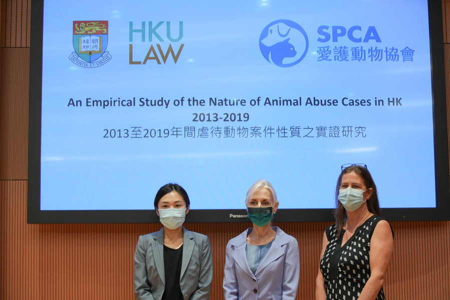 New study on animal cruelty in Hong Kong by HKU Law Faculty and the SPCA  (HK) finds mongrel dogs are the most common victims of animal cruelty - All  News - Media - HKU