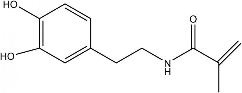 The chemical structure of N-(3,4-dihydroxyphenethyl)methacrylamide (DMA)