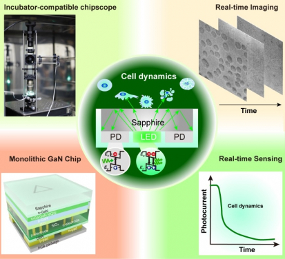 HKU Engineering team develops a novel photonic chipscope for label-free monitoring of live cell activities
