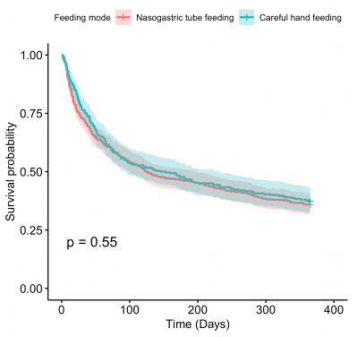 A HKUMed study found that there is little difference in one-year survival probability among advanced dementia patients on nasogastric tube feeding or careful hand feeding (125 days versus 145 days, Graph 1). But those on nasogastric tube feeding have a lower pneumonia-free survival probability compared with those on careful hand feeding (Graph 2).
 