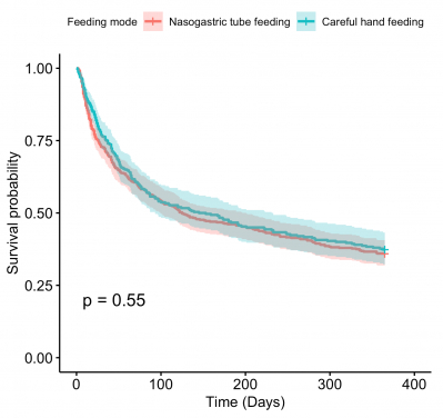 A HKUMed study found that there is little difference in one-year survival probability among advanced dementia patients on nasogastric tube feeding or careful hand feeding (125 days versus 145 days, Graph 1). But those on nasogastric tube feeding have a lower pneumonia-free survival probability compared with those on careful hand feeding (Graph 2).