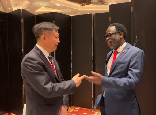 Professor Peng Gong, Vice President (Academic Development) of HKU, and Professor Tshilidzi Marwala, Under-Secretary-General of the United Nations and Rector of United Nations University.
 