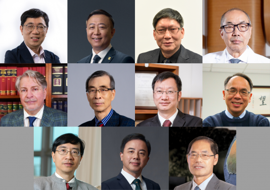 (upper row from left) Professor Chi-Ming CHE, Professor Peng GONG, Professor GUAN Yi, Professor Tak MAK
(middle row from left) Professor Alec STONE SWEET, Professor Min SUN, Professor Chuyang TANG, Professor Paul S. F. YIP
(lower row from left) Professor Kwok-Yung YUEN, Professor Xiang ZHANG, Professor Guochun ZHAO