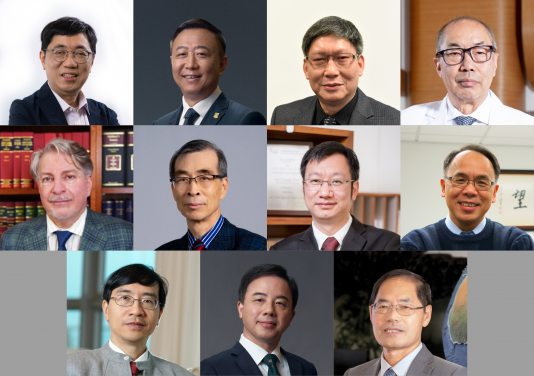  (upper row from left) Professor Chi-Ming CHE, Professor Peng GONG, Professor GUAN Yi, Professor Tak MAK
(middle row from left) Professor Alec STONE SWEET, Professor Min SUN,  Professor Chuyang TANG, Professor Paul S. F. YIP
(lower row from left) Professor Kwok-Yung YUEN, Professor Xiang ZHANG, Professor Guochun ZHAO