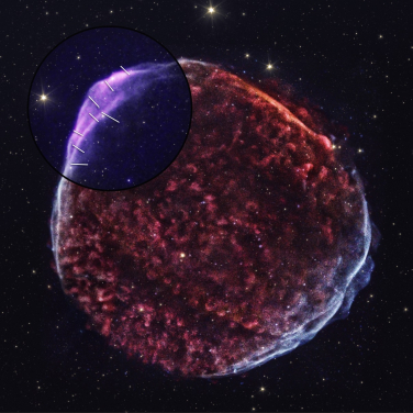 The figure shows a composite image of supernova remnant SN 1006. The upper left circle shows the IXPE observed area. The IXPE 2—4 keV emission is shown with the purple colour, with magnetic field orientation denoted with white lines. The red and white represent the soft and hard X-ray emission, respectively, taken with the Chandra X-ray observatory. The golden colour denotes the Spitzer infrared emission.
Image Credits: X-ray: Chandra: NASA/CXC/SAO, IXPE: NASA/MSFC/P. Zhou et al.; Infrared: Spitzer.
