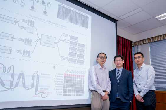 HKUMed has uncovered key genetic clue in adolescent idiopathic scoliosis. The research team members include: (from left) Dr Song You-qiang, Professor Jason Cheung Pui-yin and Dr Gao Bo.
 