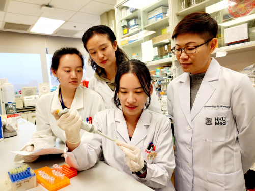 Professor Ruby Hoo Lai-chong (first, right), Department of Pharmacology and Pharmacy of HKUMed, and her research team have successfully developed a neutralising monoclonal antibody, 6H2, which targets a harmful protein A-FABP known to exacerbate damage caused by ischaemic stroke. The findings will offer potential for a highly effective pharmacological therapy for patients with ischemia stroke.
 