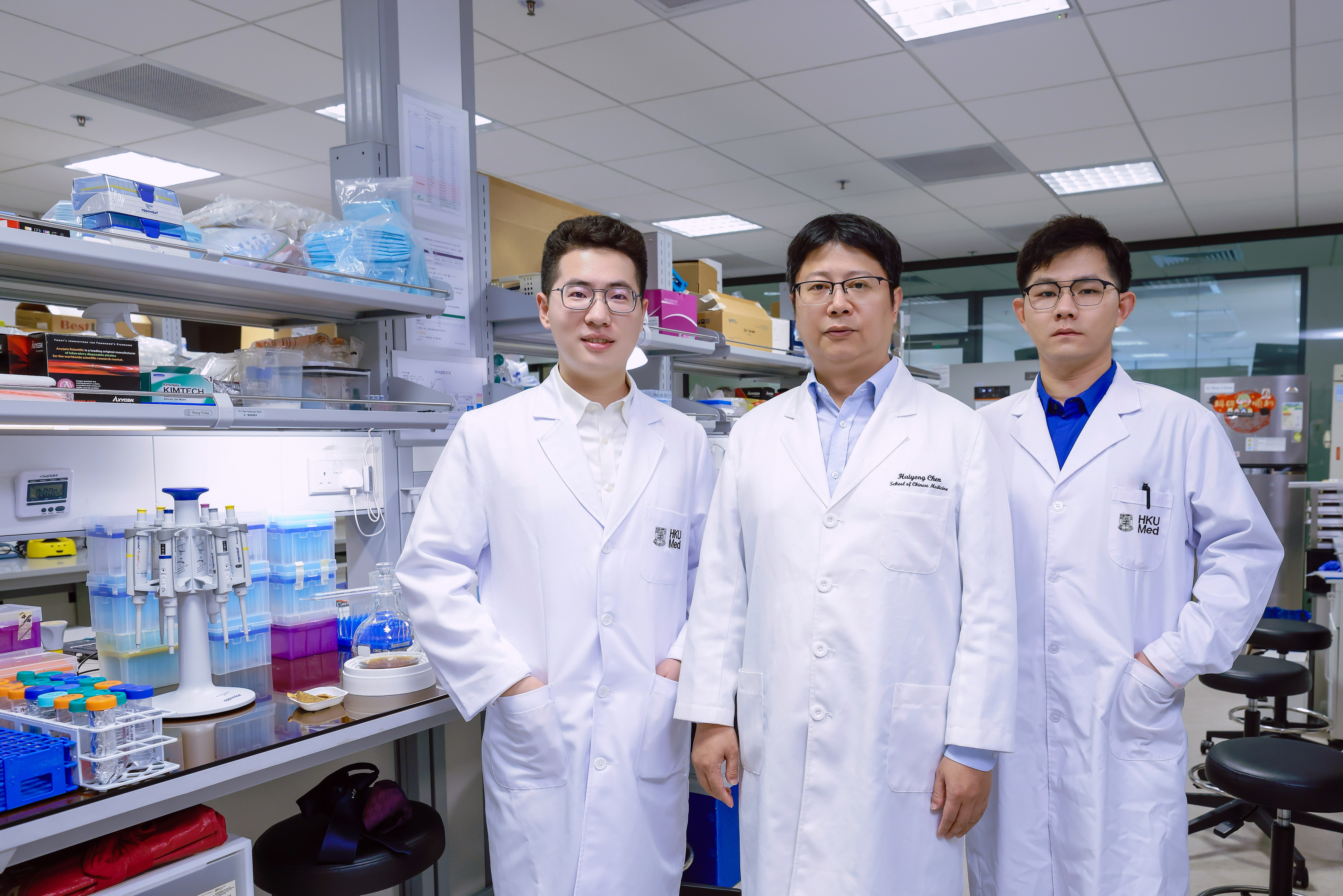 港大醫學院發現C反應蛋白加劇糖尿病腎臟病變中發炎的機制 可望為患者提供新治療方向 - 所有新聞 - 傳媒 - 香港大學