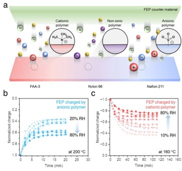 Dual charge carriers in ionomer-solid contact electrification.<p>a) Schematic illustration of charge carriers in ionomers and non-ionic polymer in contact with FEP counter material; electron, anion, and material fragments (cationic polymer, FAA-3), electron and material fragments (non-ionic polymer, nylon 66), and electron, cation, material fragments (anionic polymer, Nafion 211). b),c) Surface charge retention on FEP contacted with anionic (b) and cationic (c) polymers as a function of time after thermionic emission at 200 and 160 °C, respectively. Each sample was exposed to differing relative humidities in contact electrification.