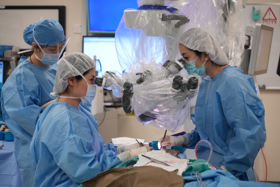 Manual microsurgery is often performed in non-physiological positions with adverse ergonomics, leading to fatigue and physical strain.
 